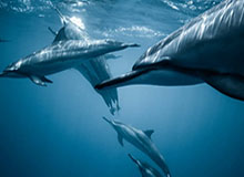 星空活动-开云体育:开启你的专属体育新纪元